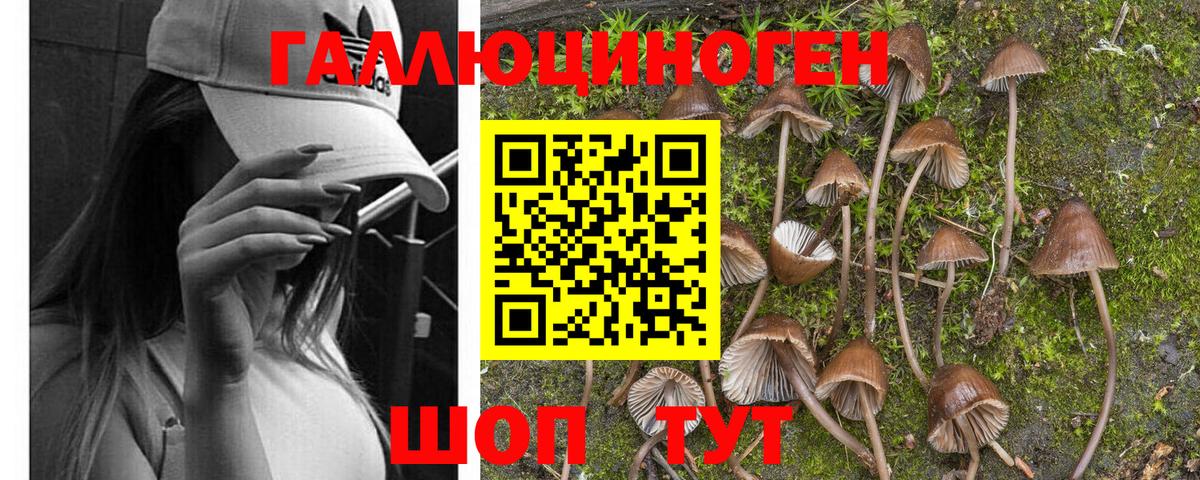 Псилоцибиновые грибы Magic Shrooms  Галлюциногенные грибы ЛСД  Туймазы  Вход с VPN 